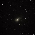 NGC772